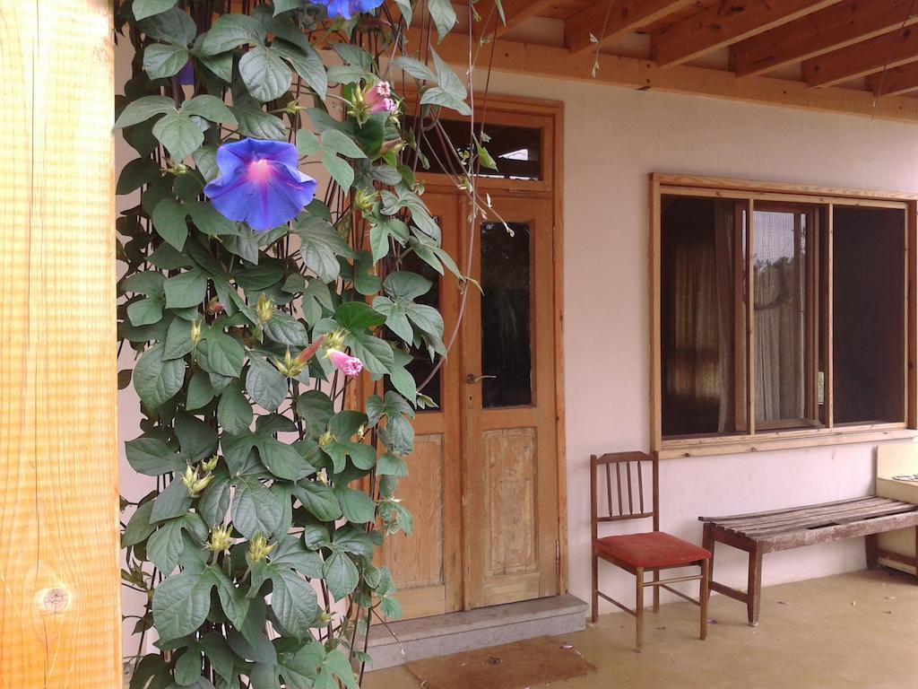 Clil Guest House Экстерьер фото